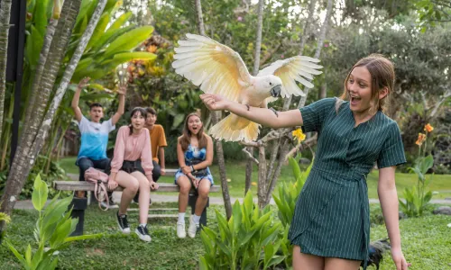 Bali Bird Park