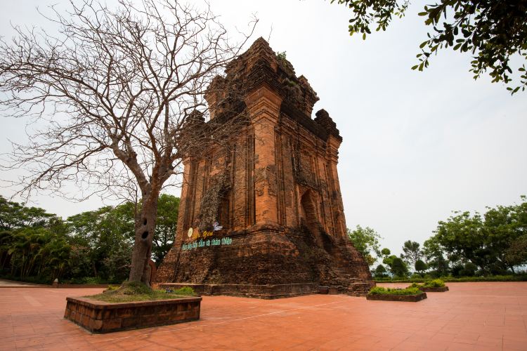 Compare 5 airports near Tuy Hoa