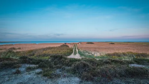 Ringkobing travel destination