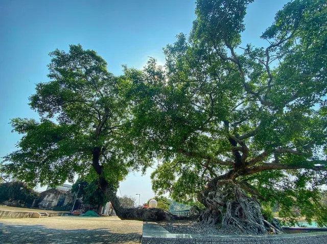 【吉澳鴨洲一天遊】2026吉澳、鴨洲必去景點推介！（吉澳船期、美食、交通懶人包）