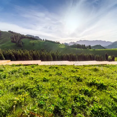 Отзывы об отеле Hemei Courtyard Resort Hotel (Meimei Shopping Center Museum）