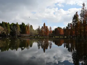 Haihong Wetland