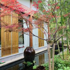 JIU LONG WAN CAN TING YU SHAN FANG User Photo