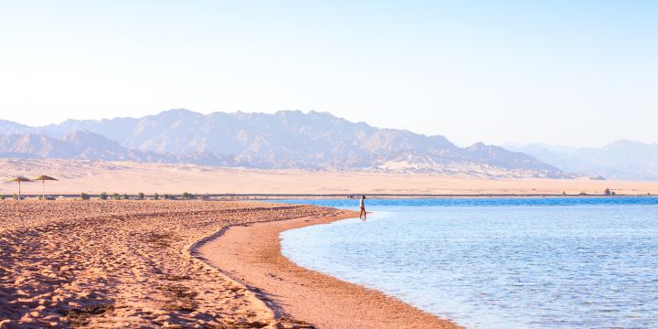 Nabq Bay