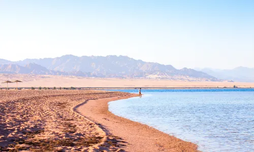 Nabq Bay