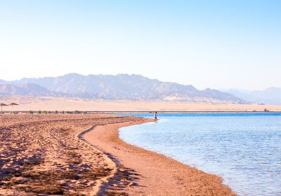 Nabq Bay