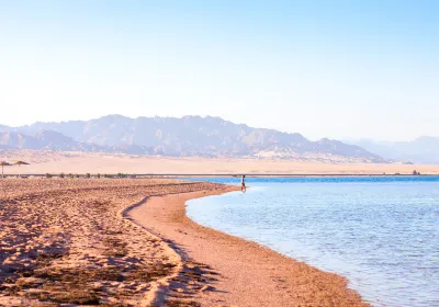 Nabq Bay