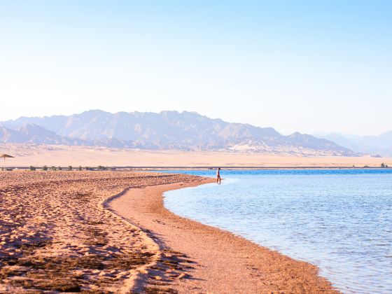 Nabq Bay