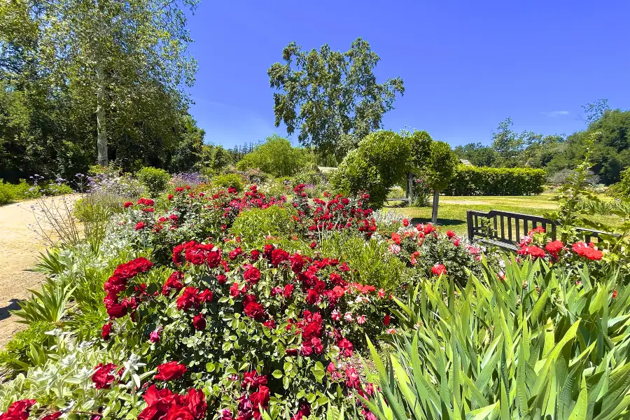 Los Angeles County Arboretum & Botanic Garden