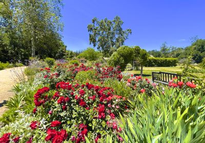 Arboreto y Jardín Botánico del Condado de Los Ángeles