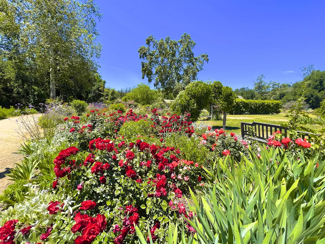Los Angeles County Arboretum amp - 0104r120009hpxqux11FD W 1440 810 Q80.webp