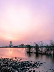 Luyanghu National Wetland Park