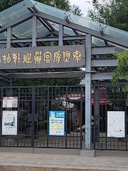 Qin'epanggong Ruins Exhibition hall