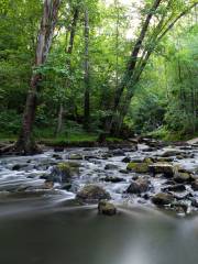 William B Umstead State Park Rd