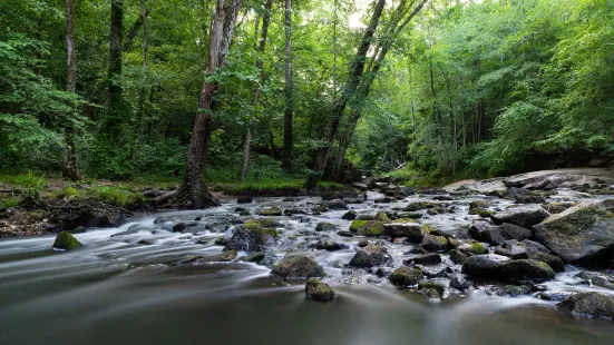 William B Umstead State Park Rd