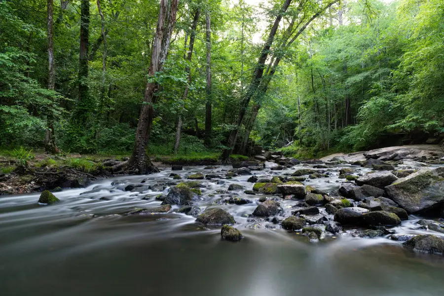 Umstead State Park