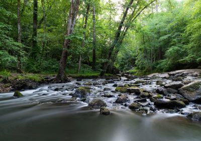 Umstead State Park