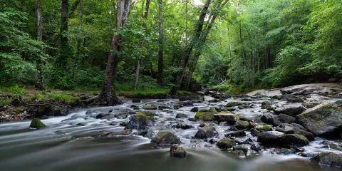 Umstead State Park