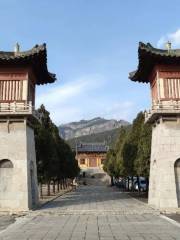 Shentong Temple Ruins