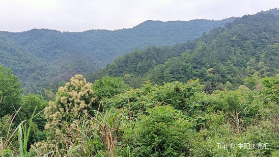 Zhupo Mountain Forest Park
