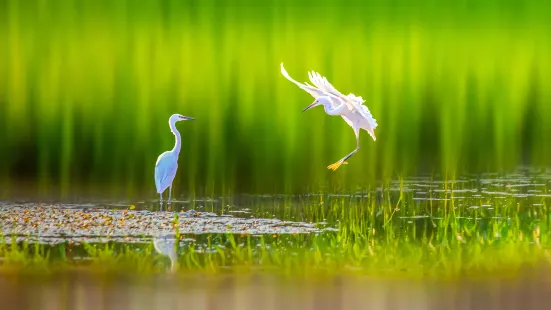 Bailu Wetland Park