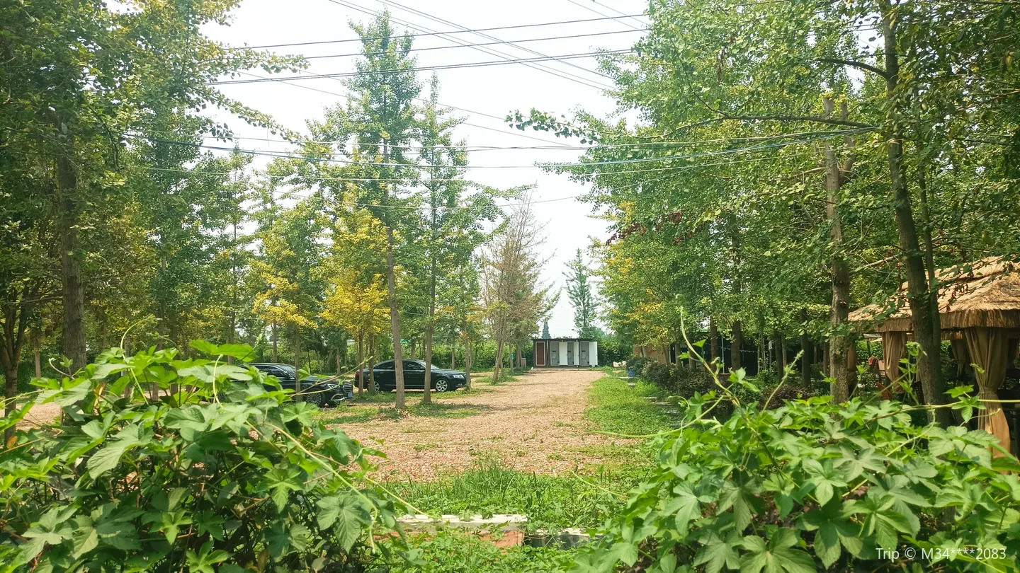 1_Heidi and the garden of the dragonfly