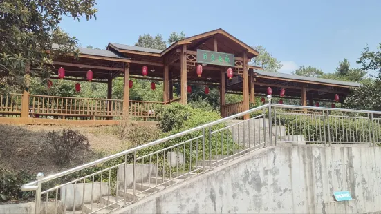 Jingshan Camellia Source