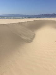Oceano Dunes Natural Preserve State Park