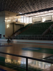 Arena Deportiva Elías Chegwin