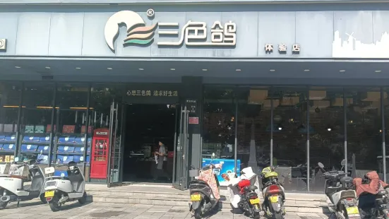 南陽三色鴿(體驗店)