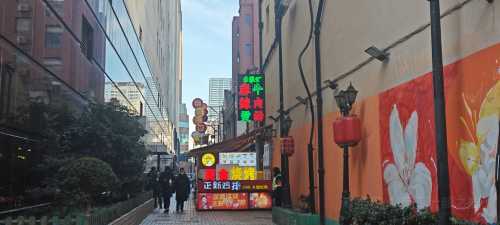 Nanjinglu Food Street (nanjingdonglu)
