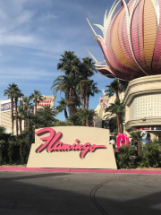 Flamingo Hotel and Casino