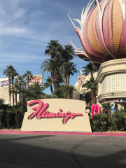 Фламинго Лас Вегас Хотел & Казино