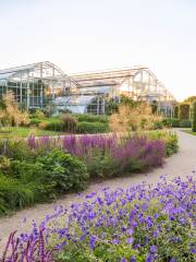 Jardin de Wisley