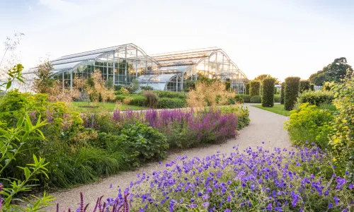 RHS Garden Wisley