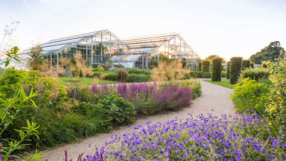 RHS Garden Wisley
