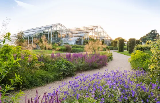 皇家園藝學會威斯利花園門票小童