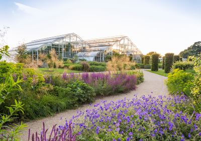 RHS Garden Wisley