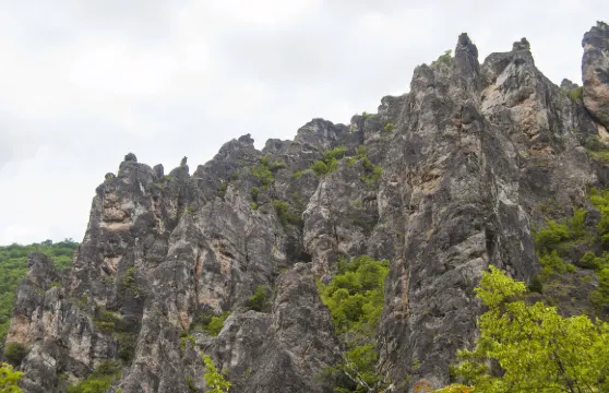 春灣風景區門票成人