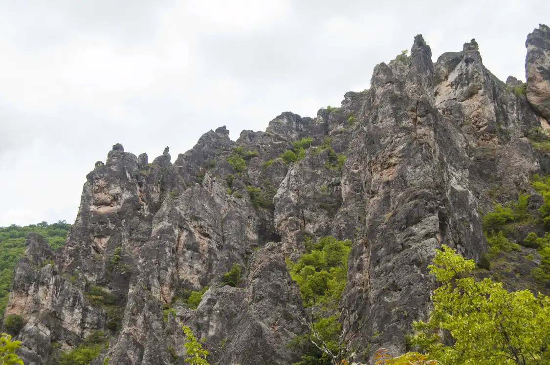 Hotels near Chunwan Scenic Area