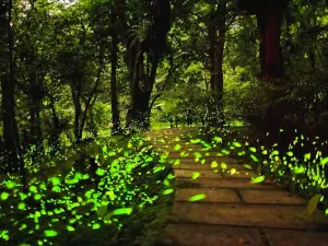 Tiantai Mountain Tourist Attraction