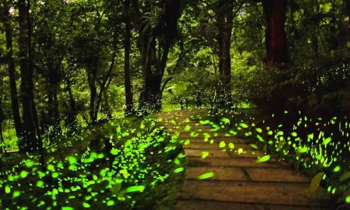 Tiantai Mountain Tourist Attraction