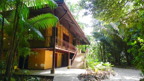 Bosque Rodrigues Alves - Amazon Zoobotanical Garden