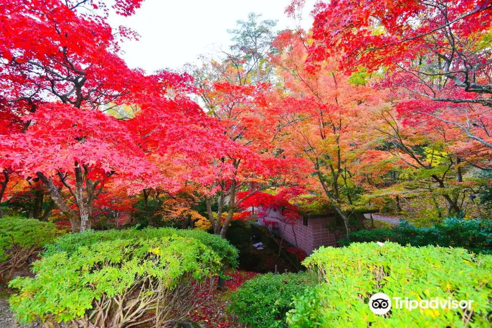 4_Yahiko Park