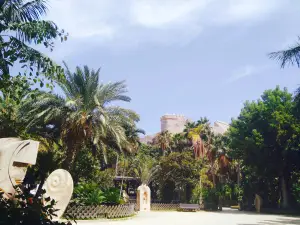El Majuelo Botanical Park