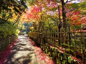 Migliori 10 Attrazioni per la visione autunnale a Prefettura di Hyōgo