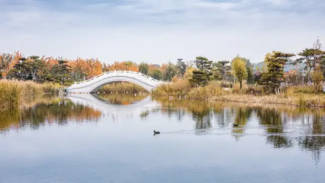 漳澤湖國家城市濕地公園