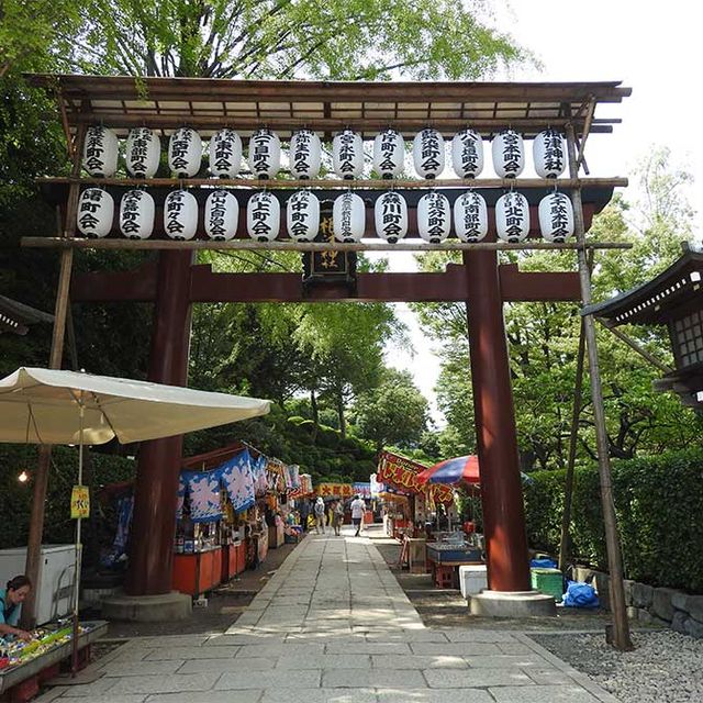 根津神社例行大祭 | 東京