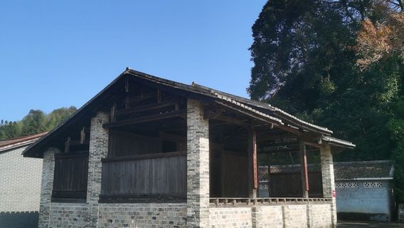 shu guang tang