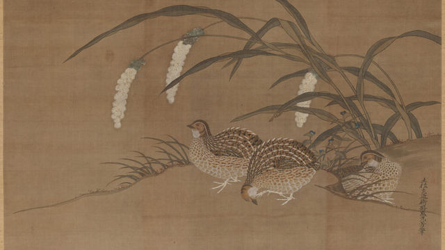 Beautiful, Bountiful, Boisterous Birds | Asian Art Museum